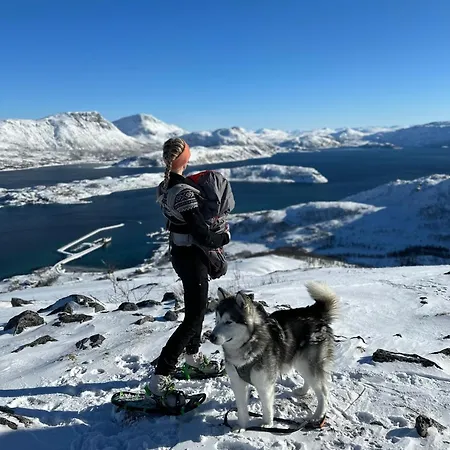 Vengsoy Rorbuer Villa Vengsoya Buitenkant foto